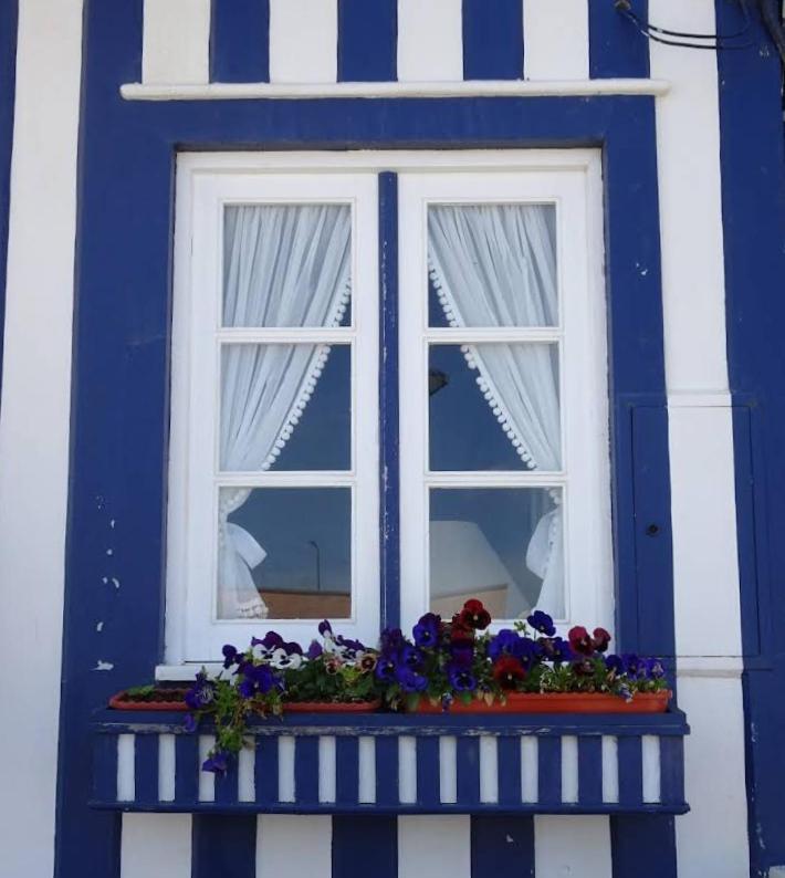 Apartament Palheiro Da Ana Costa Nova Zewnętrze zdjęcie